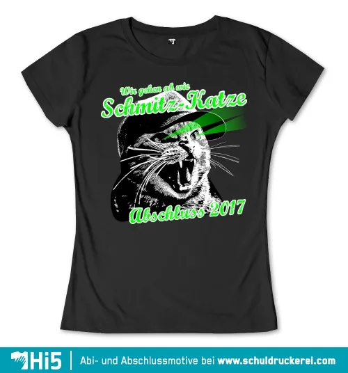 Grafik mit Text 'Schmitz-Katze Abschluss 2017', Katzenkopf und grünen Streifen.