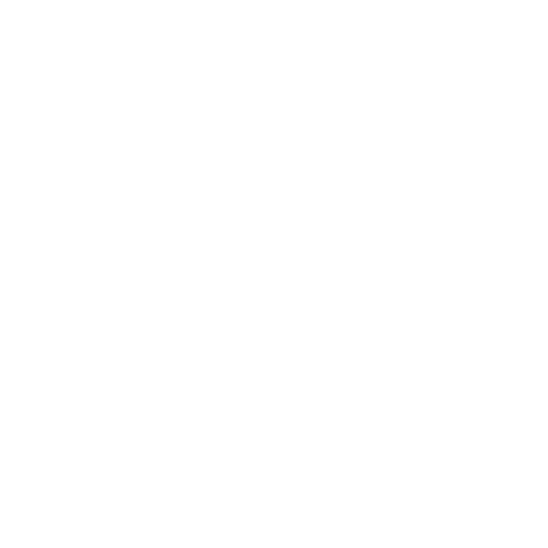 Grafik mit Text "ABSCHLUSS" oben, Leopardengesicht in der Mitte, umgeben von Blättern und der Phrase "LIVE FAST DIE YOUNG".