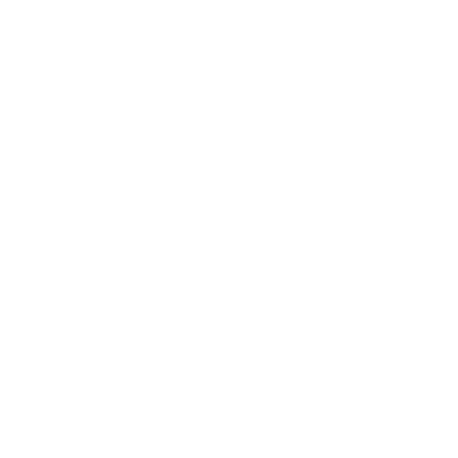 Abi-Flieger