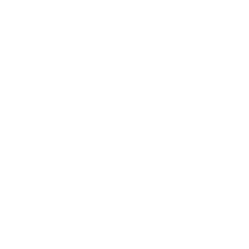 Schwarze Katze sitzt in Astgabel eines Baumes.