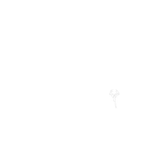 Schwarzes Rechteck mit weißem horizontalen Strich am unteren Rand.