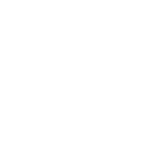 Schwarz-weiß Bild eines Gehirns auf einem Skateboard, flankiert von kleinen Symbolen wie Batterien und USB-Sticks.
