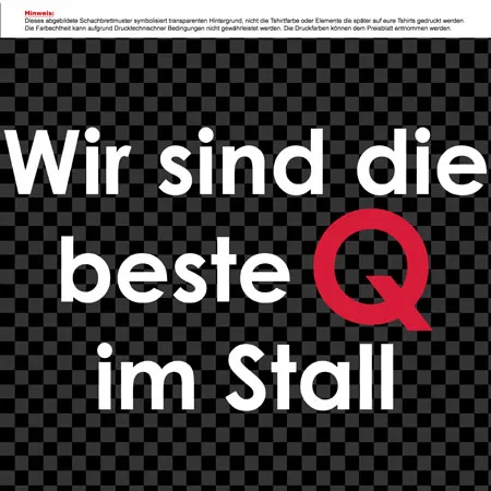 wir sind die beste q im stall