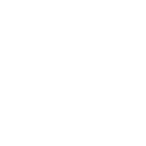 Grafik eines Skeletts mit Hut und Sonnenbrille, gestikuliert, Text "Elite 12 Braucht Kein Motto".