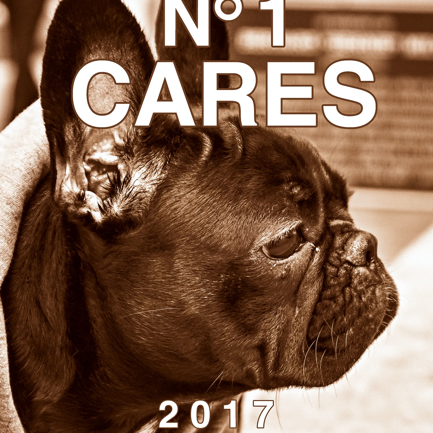 No1 Cares Abschluss