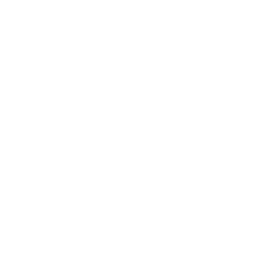 Runder Rahmen mit gekreuzten Pfeil und Anker, Zahlen 2020 und Initialen AK.