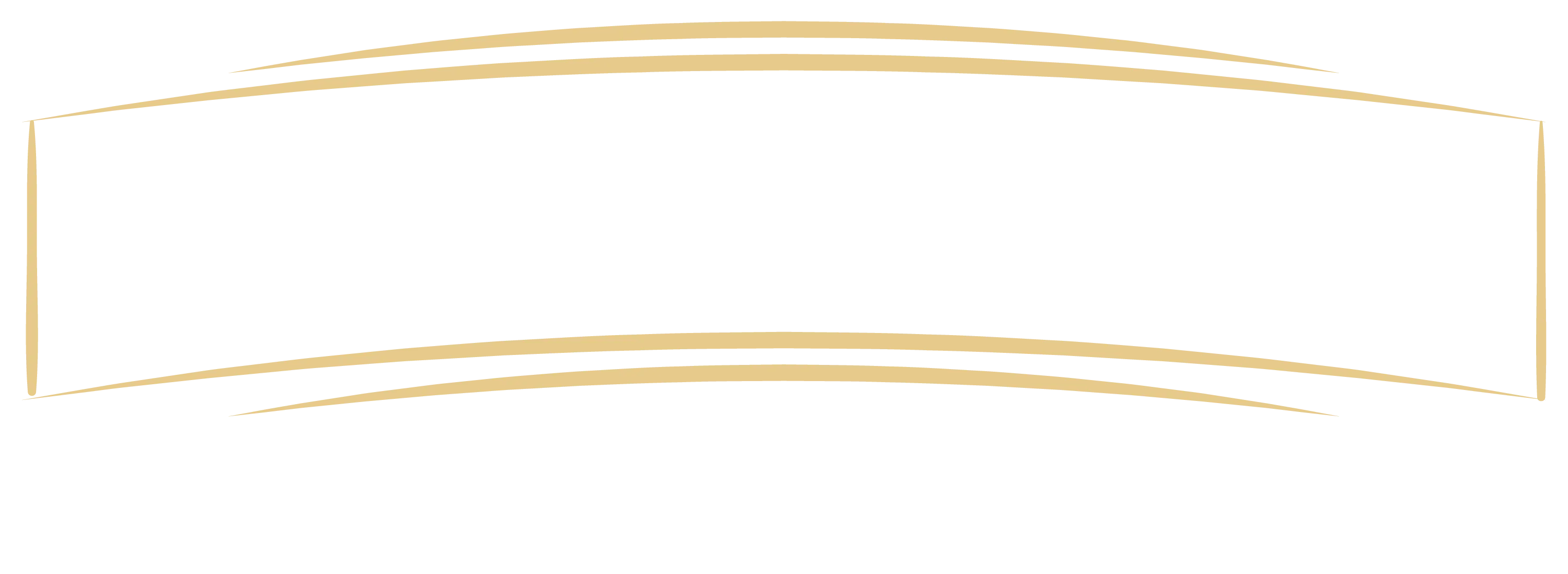Weisser Schriftzug SIGMUND FREUD SOCIETY auf schwarzem Hintergrund umgeben von goldenen Linien darunter weisser Text ABI202X
