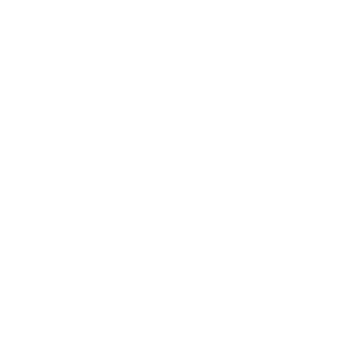 Piratenlogo mit menschlichem Kopf, Hut, zwei gekreuzten Schwertern und der Aufschrift "Fluch der Krammatik".