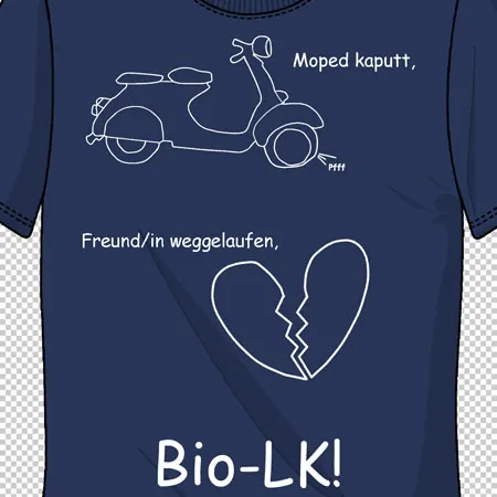Moped kaputt, Freundin weggelaufen  BIO LK