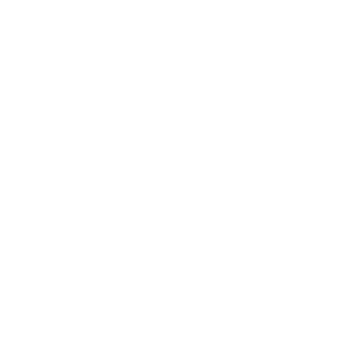 Lila T-Shirt mit "BE(E)RLIN" Text, Bär-Grafik, "Abschlussfahrt 2011" und Website-Link.