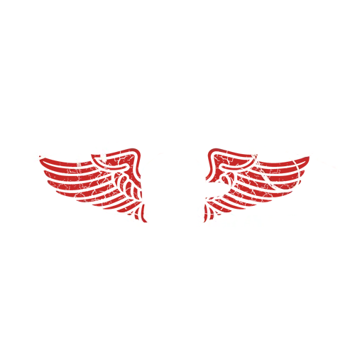 Design eines braunen Shirts mit weiß-rotem "Eliteklasse AK12" Text, Schädelgrafik und Spruch "Wir machen nach dem Abi flug!"