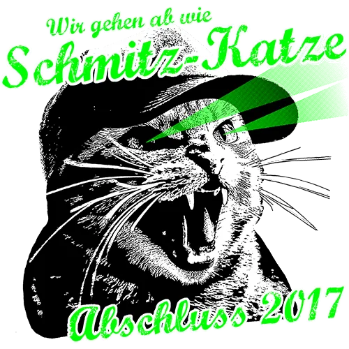 Grafik mit Text 'Schmitz-Katze Abschluss 2017', Katzenkopf und grünen Streifen.