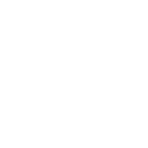 Karikatur von Mahatma Gandhi mit einem Cricketschläger auf blauem Hintergrund, Text "MAHATMA GLÜCK KEINS ABSCHLUSS 2012".