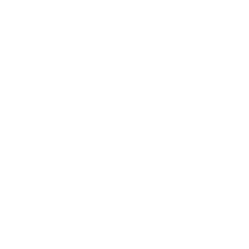 Design eines Abschlussshirts mit der Freiheitsstatue und Text für Herrn Klein, 2016