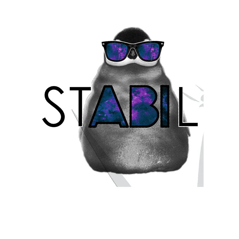 Ein Pinguin mit Sonnenbrille trägt das Wort "STABIL" auf der Brust.