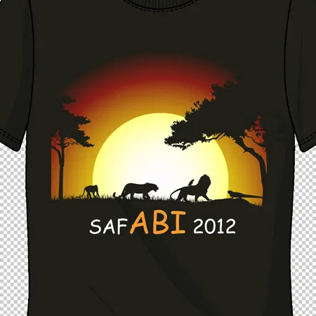 SafABI 2012