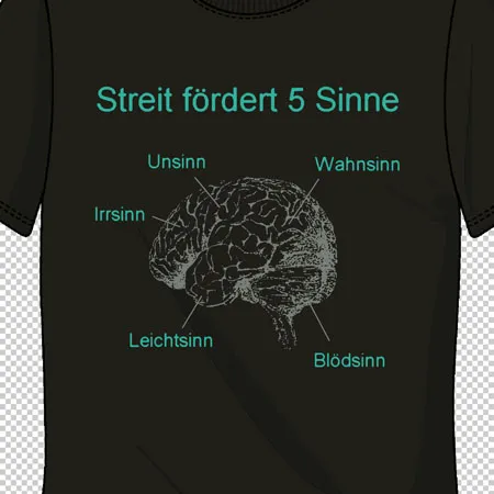 Streit fördert 5 Sinne