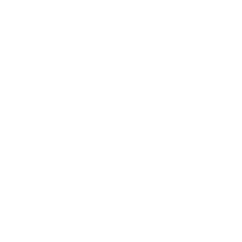 Design für ein Schulabschluss-Shirt mit zwei Adlern, einem Stern und der Aufschrift 'ABSCHLUSS 17' sowie 'WIR KAMEN SAHEN UND SIEGTEN'.